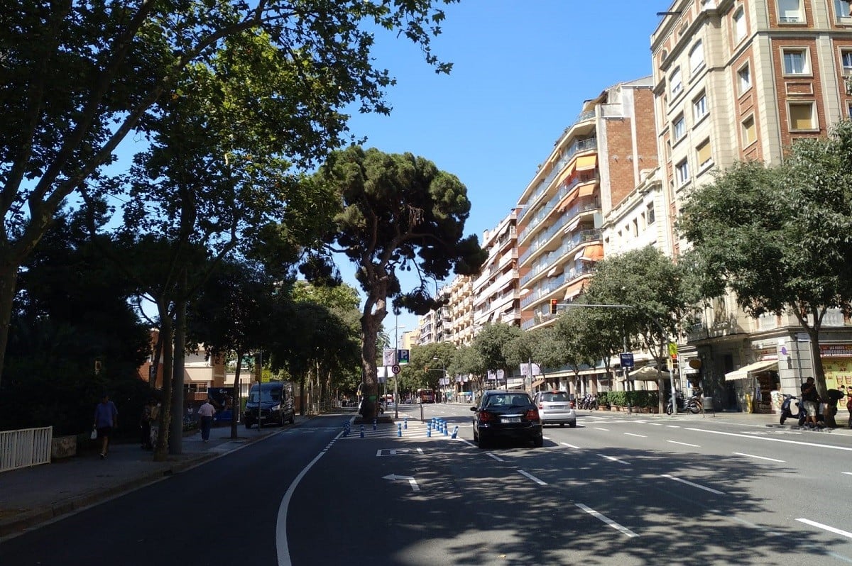 El Pi De Les Corts Antic Lloc De Trobada Dels Culers