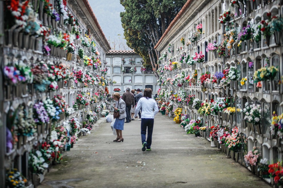 La majoria dels nínxols del cementiri d'Olot plens de flors per Tots Sants.