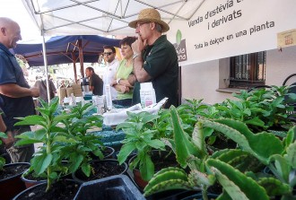 Vés a: La Fira d'herbes remeieres omple la plaça de Vilanova de Sau d'olors i colors