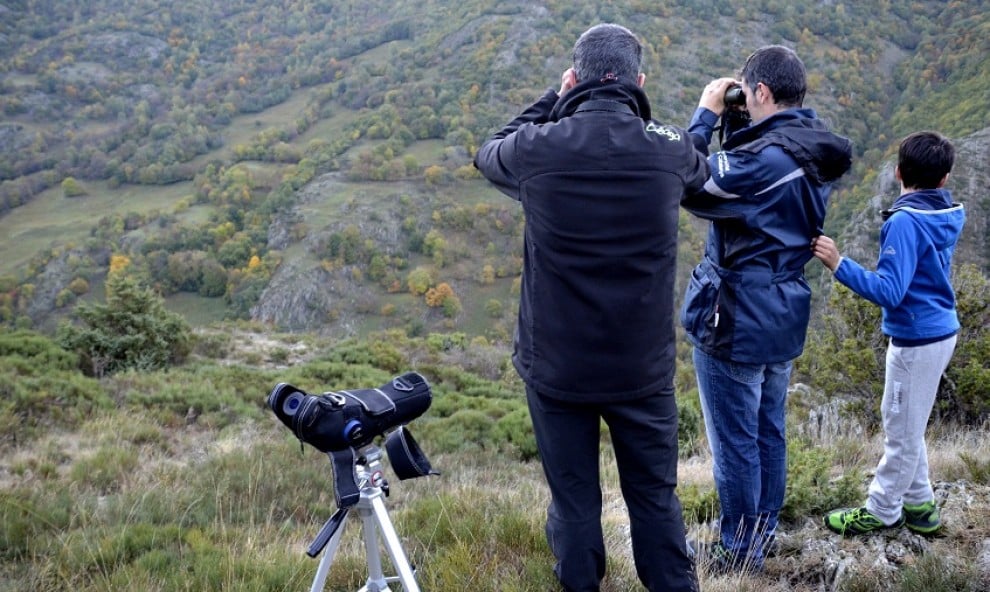 Turistes intentant divisar algun cérvol durant la brama.