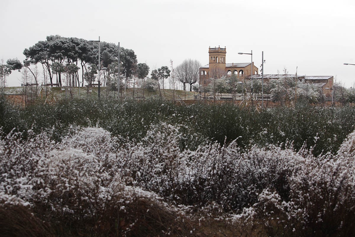 Imatge de neu a Sabadell
