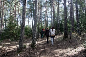 Vés a: Arriben al Solsonès les passejades pel bosc per millorar la salut