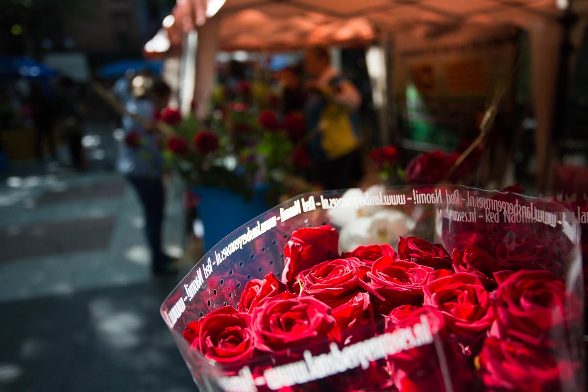 Roses vermelles, en una parada per Sant Jordi. 