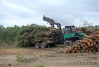 Vés a: La biomassa com a estratègia en la prevenció d’incendis