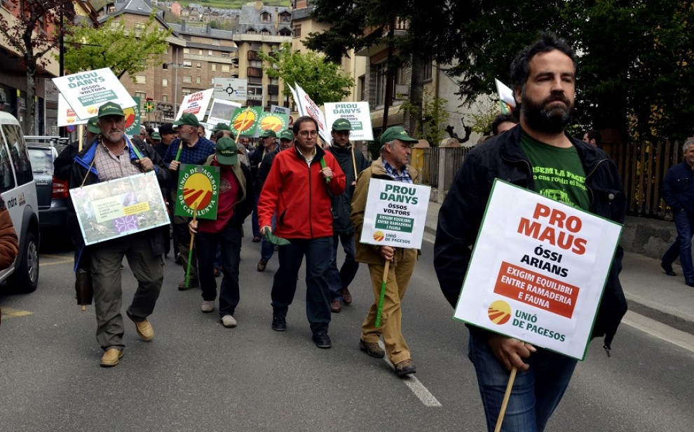 Ramaders del Pirineu manifestant-se pels carrers de Viella