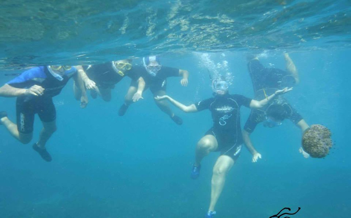 L'empresa de serveis i divulgació marina Plàncton organitza regularment activitats d'snorkel a l'Ametlla de Mar