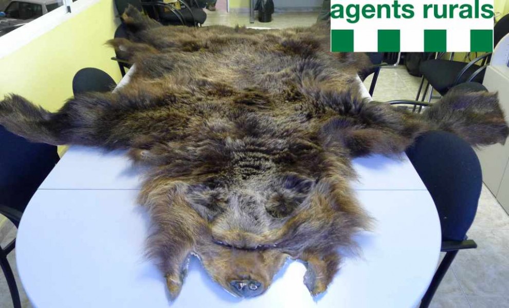 Imatge de la pell d'ós bru