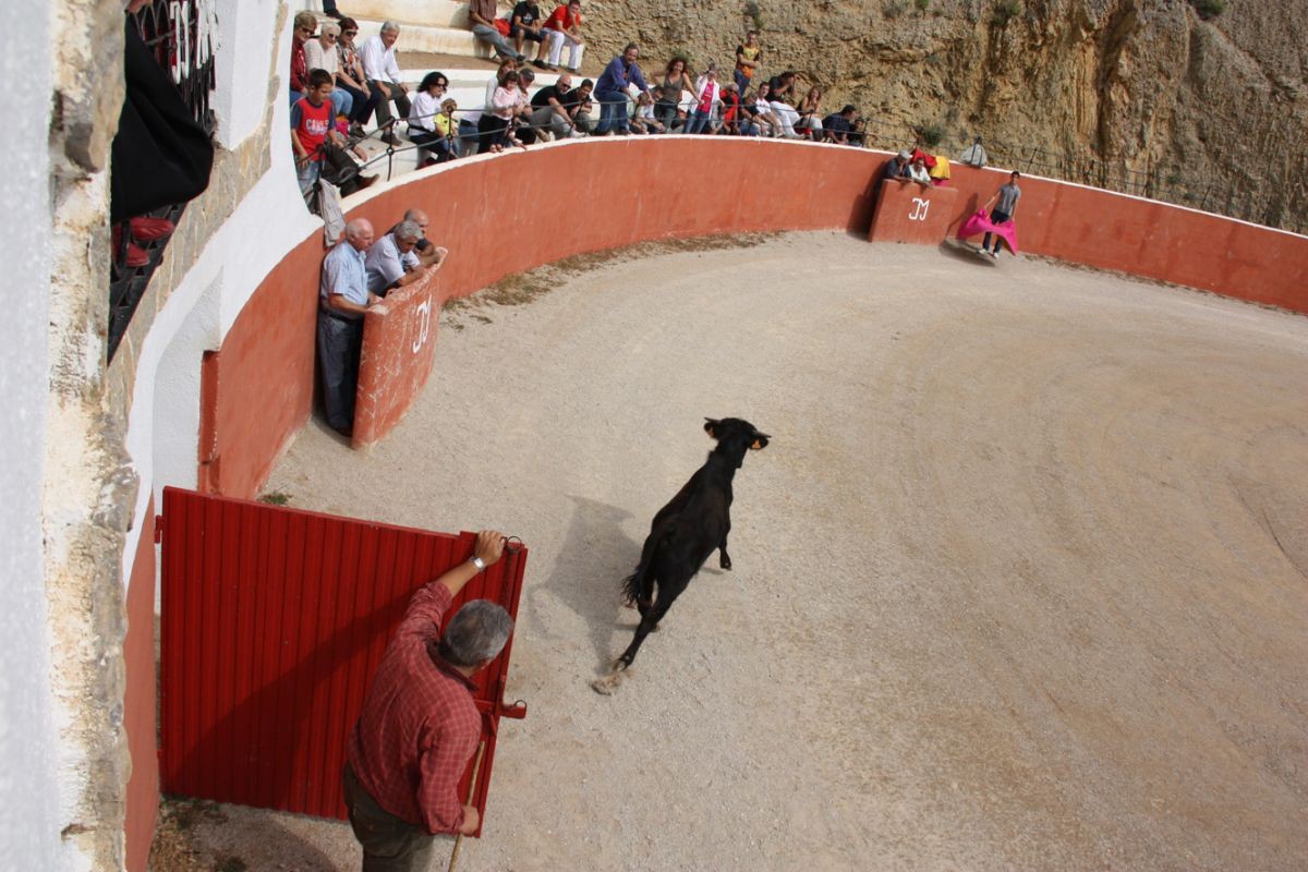 Imatges d'arxiu d'una capea, celebrada l'any 2010 a la ramaderia Mur d'Alfara de Carles, amb el torero Serafin Marín.