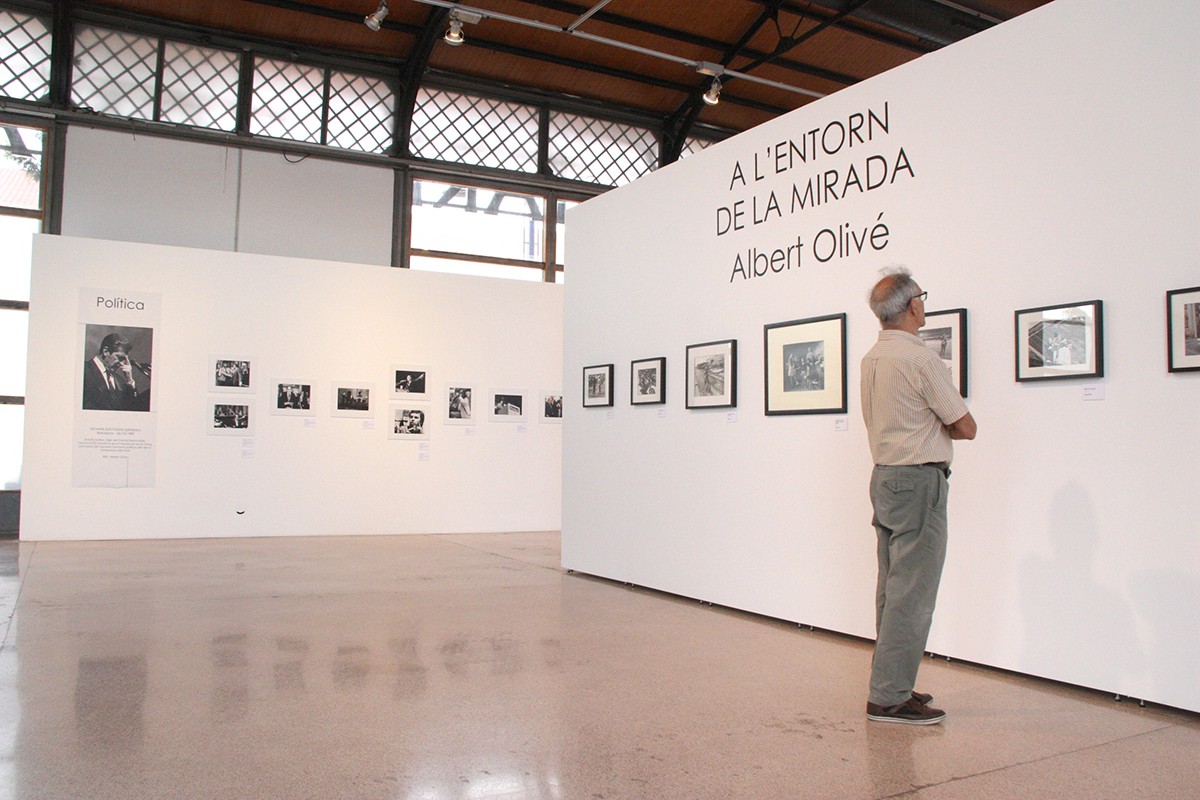 Imatge general de l'exposició d'Albert Olivé