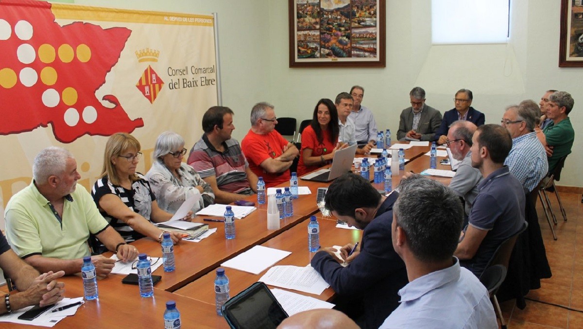 Reunió de la plataforma Trens Dignes per demanar al consell d'alcaldes del Baix Ebre suport per a la creació de l'Autoritat Territorial de Mobilitat per a les Terres de l'Ebre.