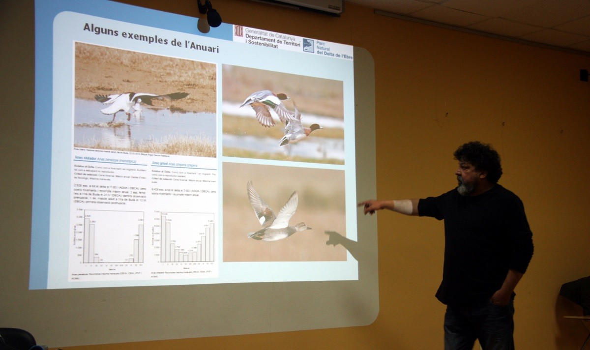 L'ornitòleg i tècnic del Parc Natural del Delta de l'Ebre, David Bigas, mostrant alguns exemples de les fitxes que inclou l'anuari ornitològic de 2014.