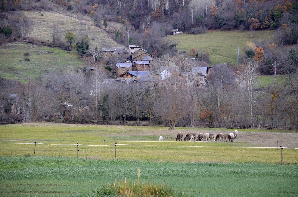 El poble d'Escalarre, al fons, i imatges dels terrenys en primer terme