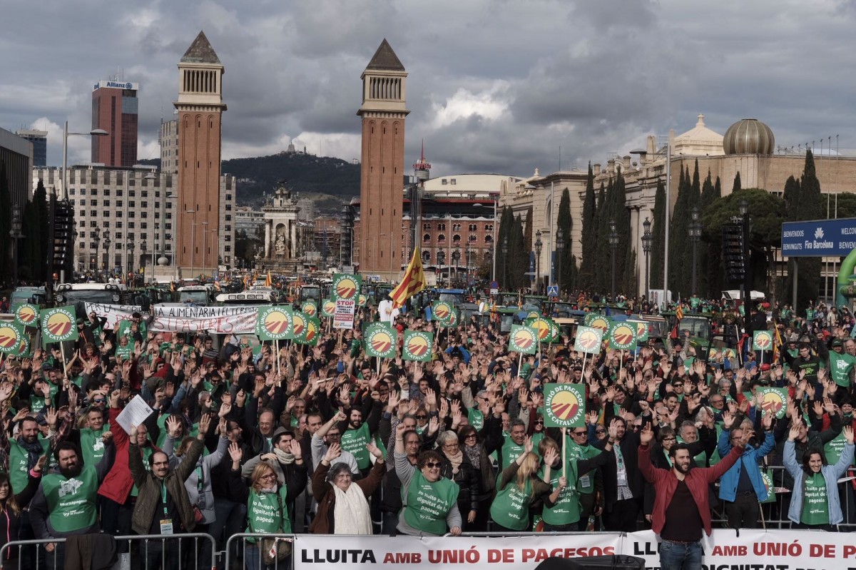«Marea verda» a l'avinguda Maria Cristina de Barcelona