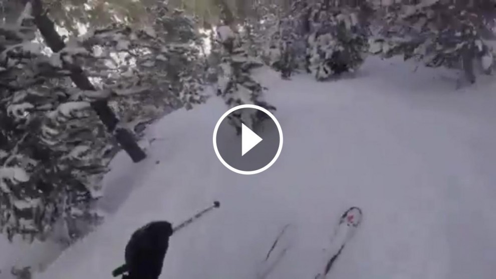 Descens d'un esquiador pel bosc d'Espot