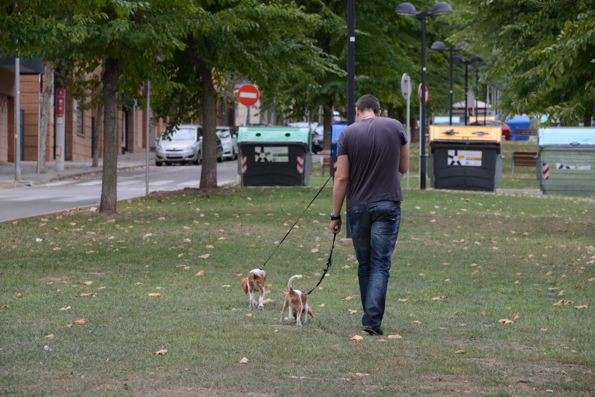 Un home passeja dos gossos a Rubí, en una imatge d'arxiu