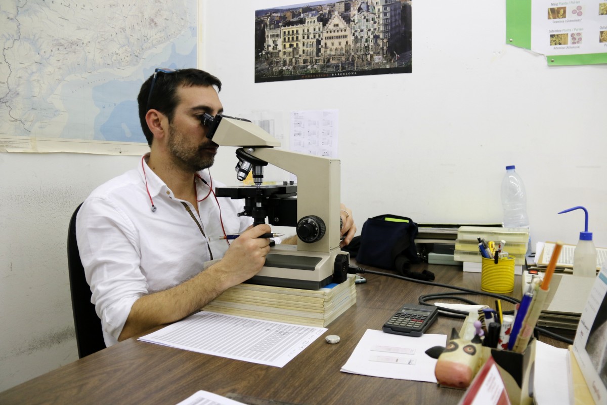 Un investigador de la UAB observa grans de pol·len al microscopi