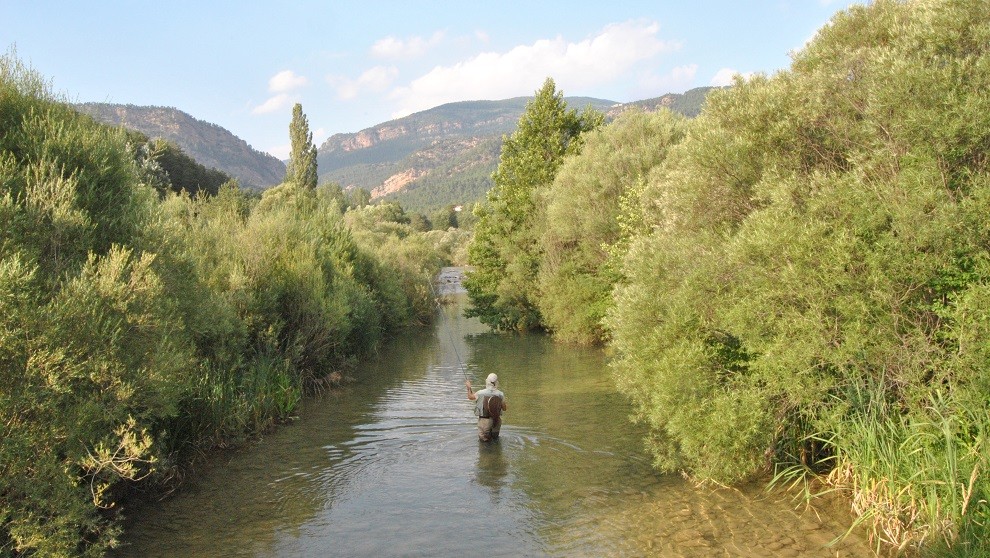 Un pescador de riu, en imatge d'arxiu