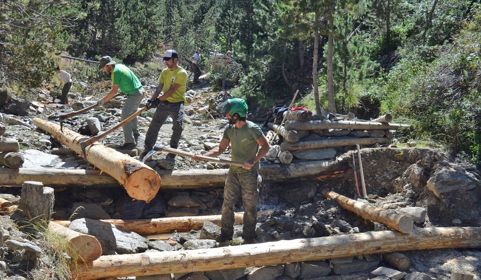 Voluntaris del projecte Boscos de Muntanya treballant al bosc