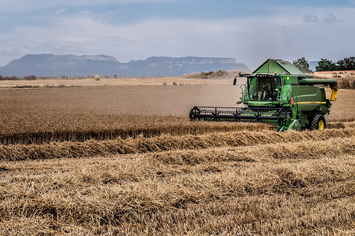 Una màquina segant un camp de blat