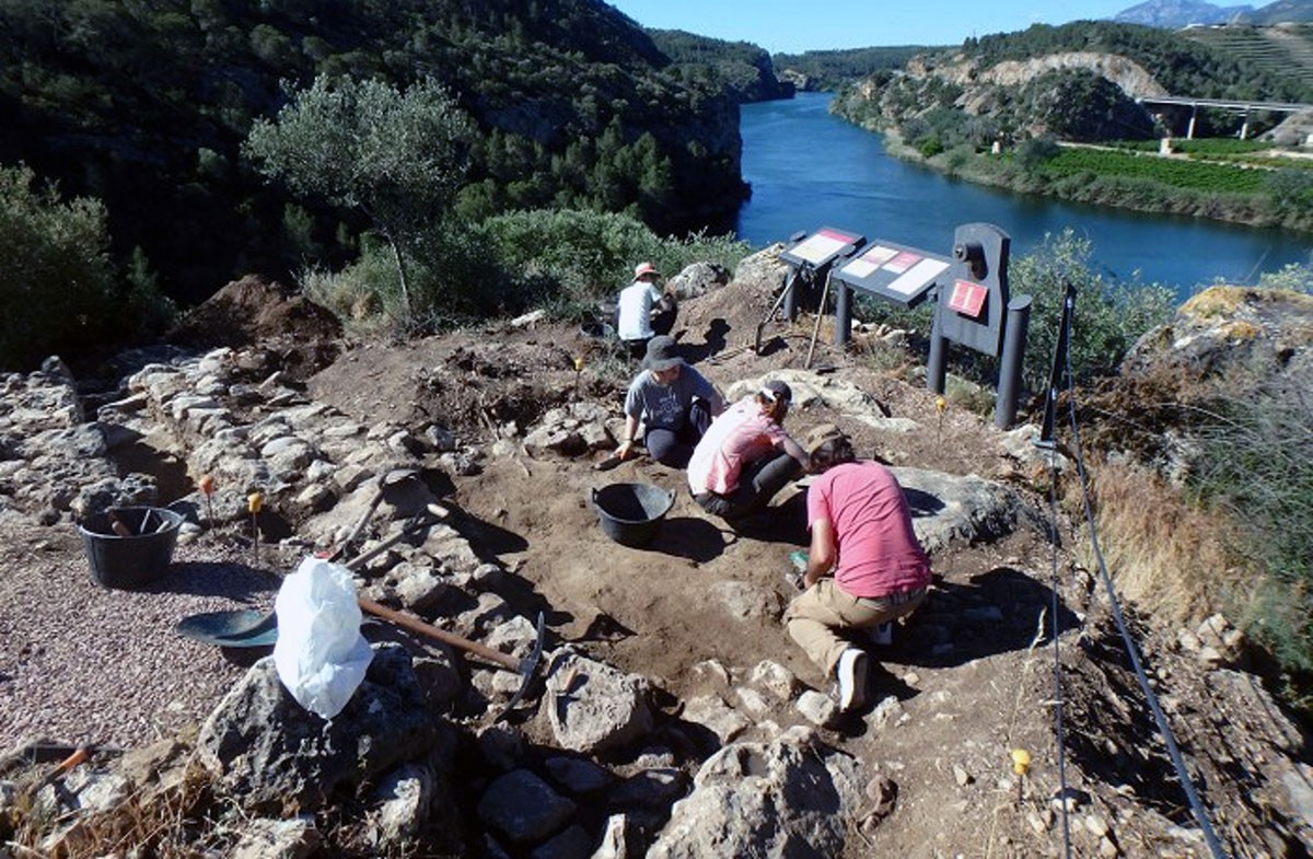 Alguns arqueòlegs treballant el passat mes de maig al poblat ibèric del Castellot de la Roca Roja de Benifallet, sobre el riu Ebre.