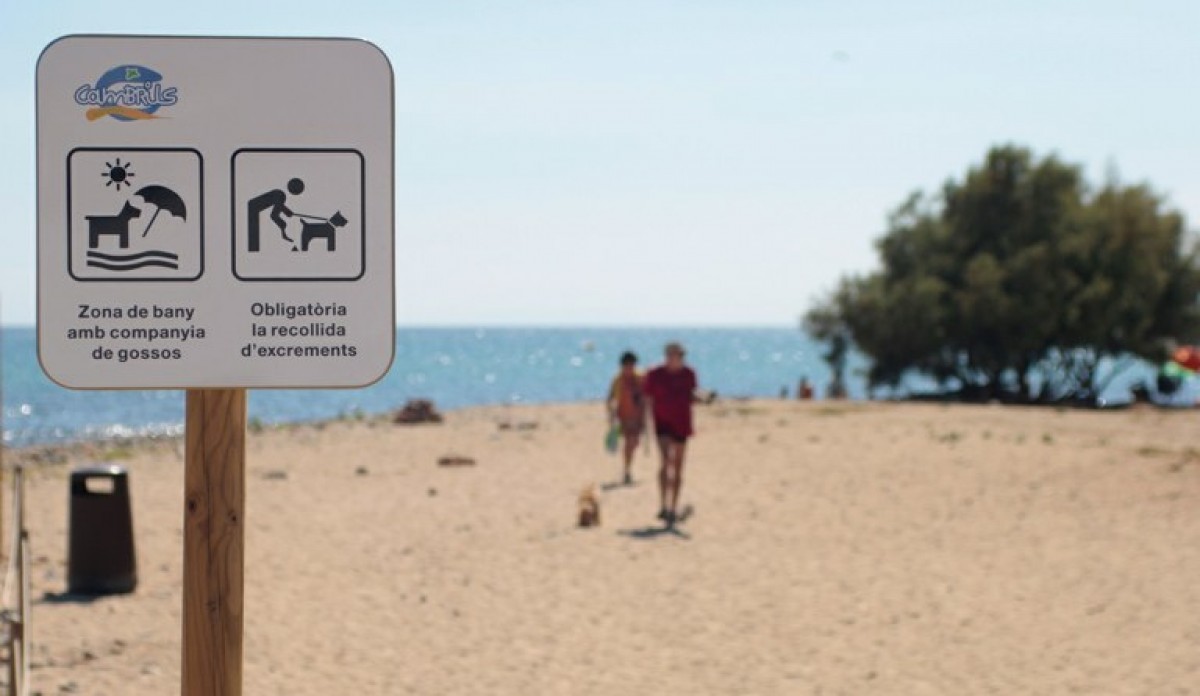Consulteu quines són les platges on podeu dur el gos