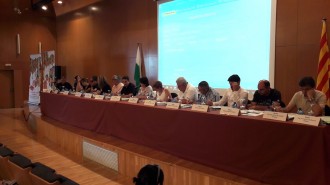 Vés a: La subhasta de fusta de boscos públics ocuparà més de 900 llocs de treball