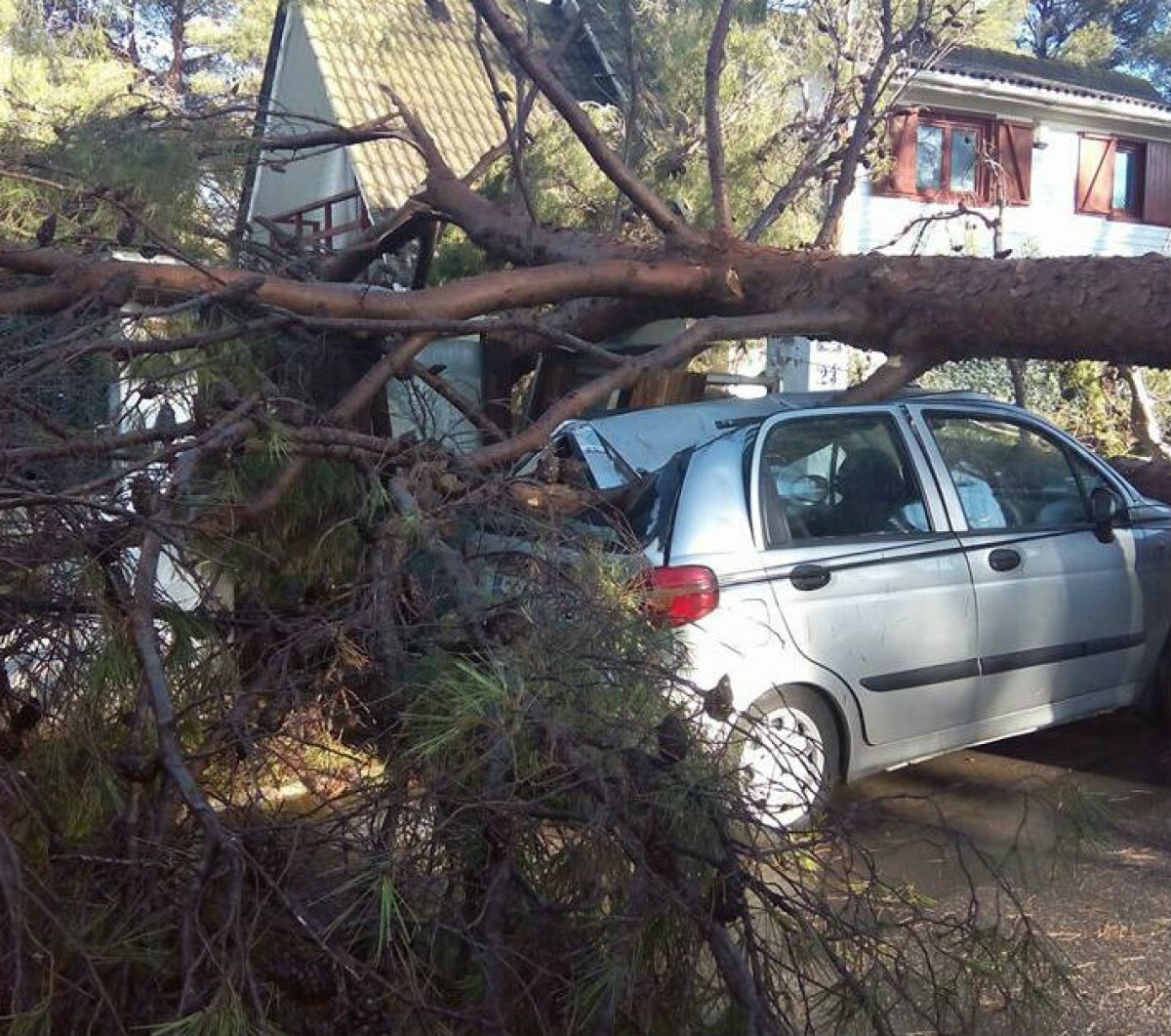 Un arbre va caure damunt un cotxe als Pallaresos durant el temporal d'aquest diumenge
