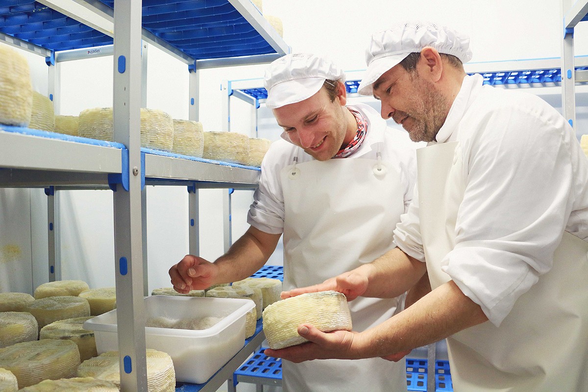 Elaboració dels formatges Muntanyola, a la finca Urpina d'Ampans