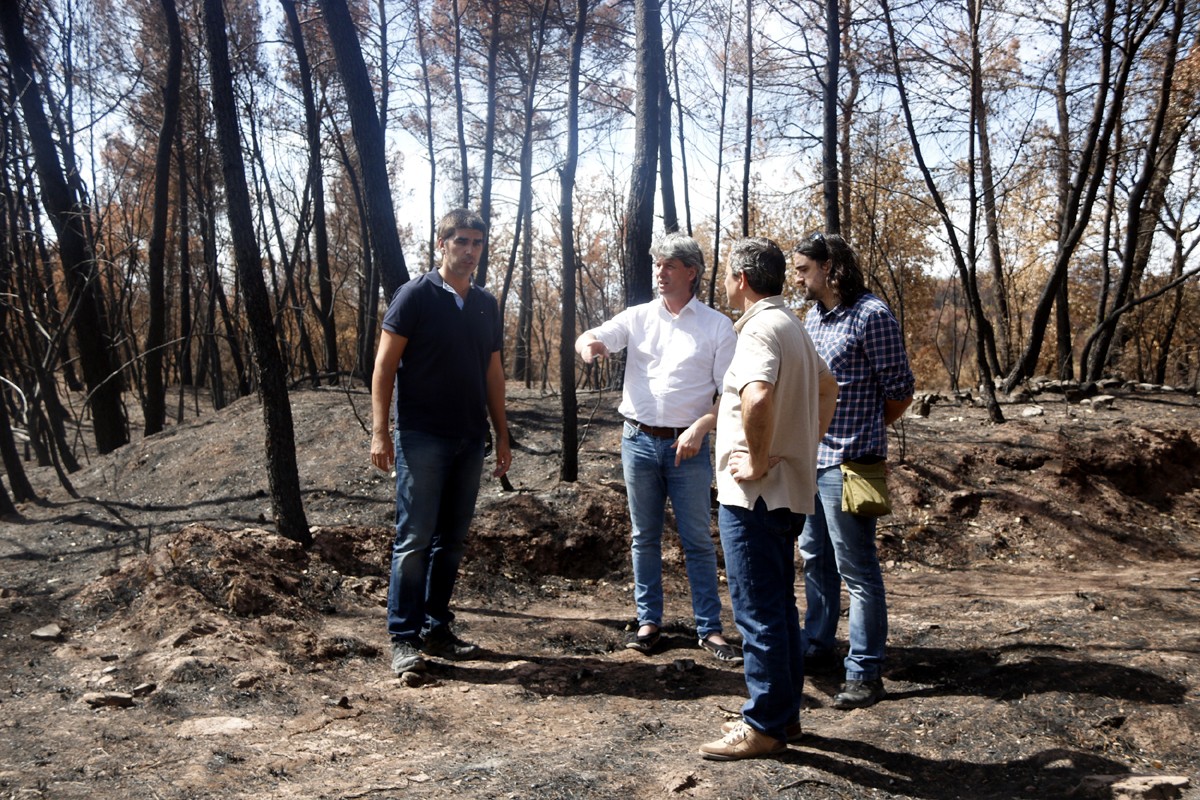 El vicepresident primer de la Diputació de Barcelona, Dionís Guiteras, observa la zona cremada al foc d'Avinyó