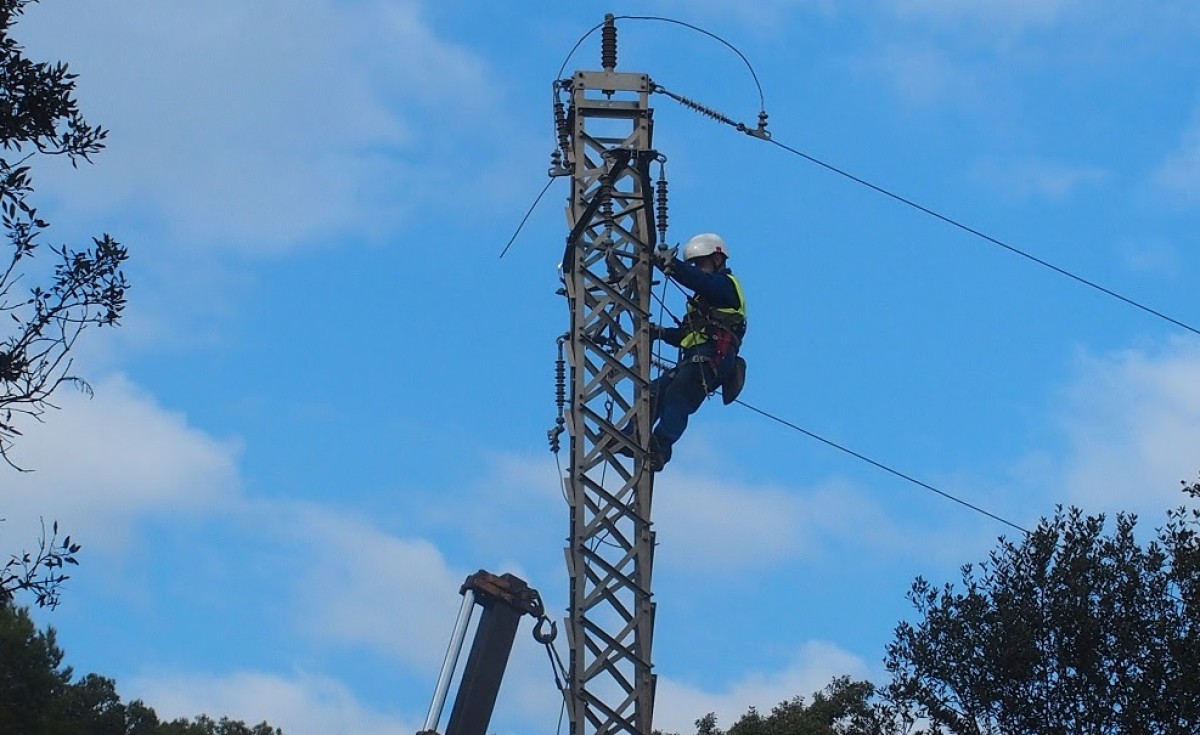 Un operari treballa en una de les torres de la línia elèctrica de Collserola.