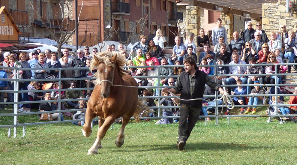 Una quarentena d'equins van participar al concurs de Cavall Pirinenc Català 
