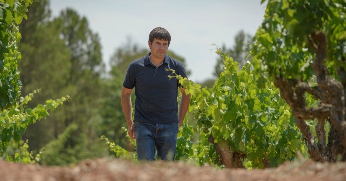 L'enòleg Miquel Palau, premiat per la Guia de Vins de Catalunya 2018