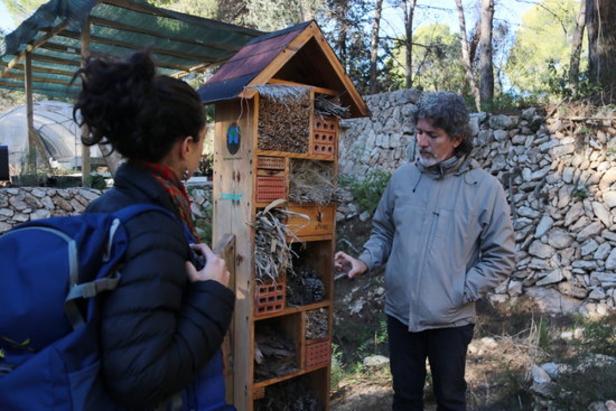 Ramon Ferré de GEPEC mostrant un hotel o refugi d'insectes