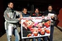 Vés a: VÍDEO Teresa Jordà anuncia el decret de dejeccions ramaderes per a finals d'any