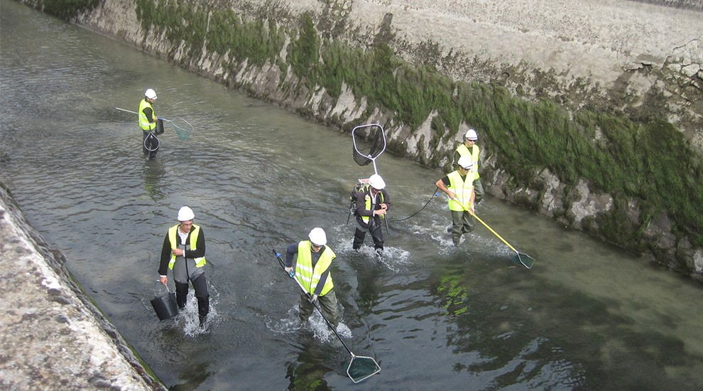 Operaris treballant durant el buidatge del canal 