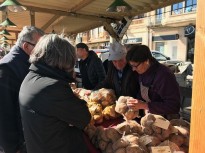 Vés a: La Fira del Trumfo i la Tòfona ven 25.000 quilos de patates