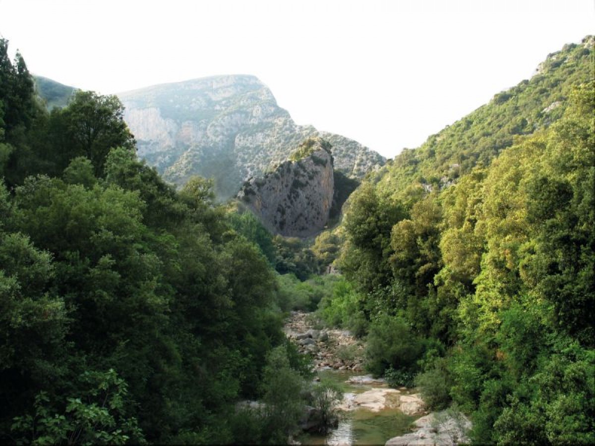 Cingles a prop de Sadernes, a l'Alta Garrotxa