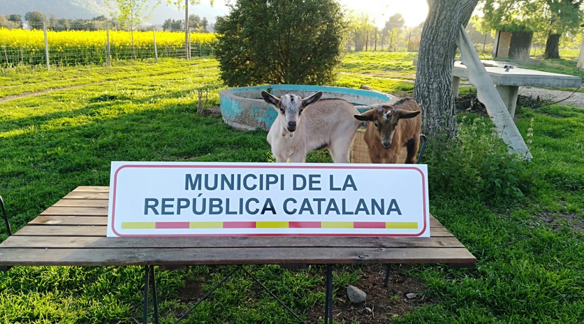 Vinils com el de la fotografia han aparegut a la majoria de municipis de la comarca.