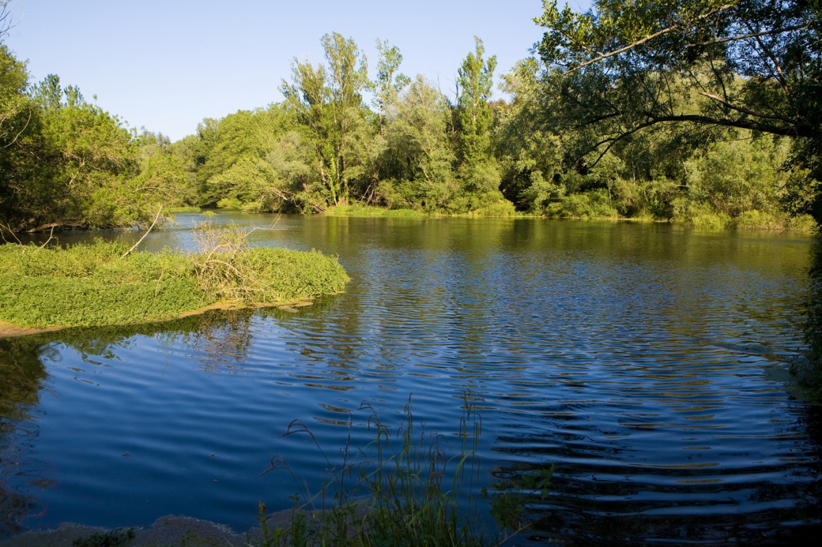 El projecte proposa la renaturalització del riu Llobregat al seu pas per Sallent