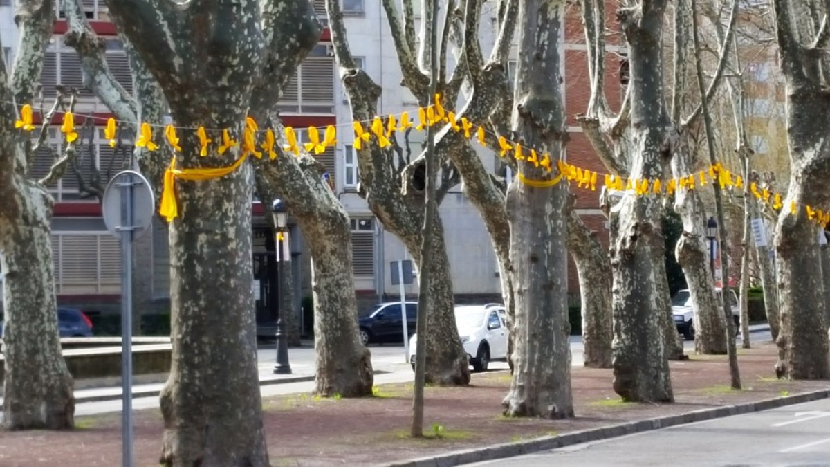 Els llaços grocs són el símbol del sobiranisme i la llibertat, com aquests penjats al passeig de Barcelona a Olot.