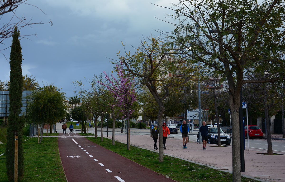 Imatge del nou sector de la Plana - Santa Bàrbara, a l'altura de l'avinguda del Camí Capellans 
