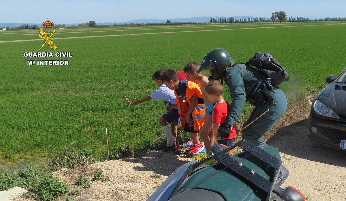 La Guàrdia Civil amb nens rescatant pollets