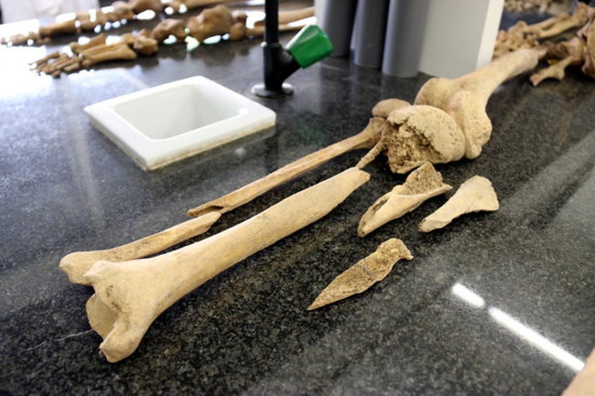 Parts de l'esquelet del primer identificat d'una fossa comuna gràcies al banc d'ADN de les famílies