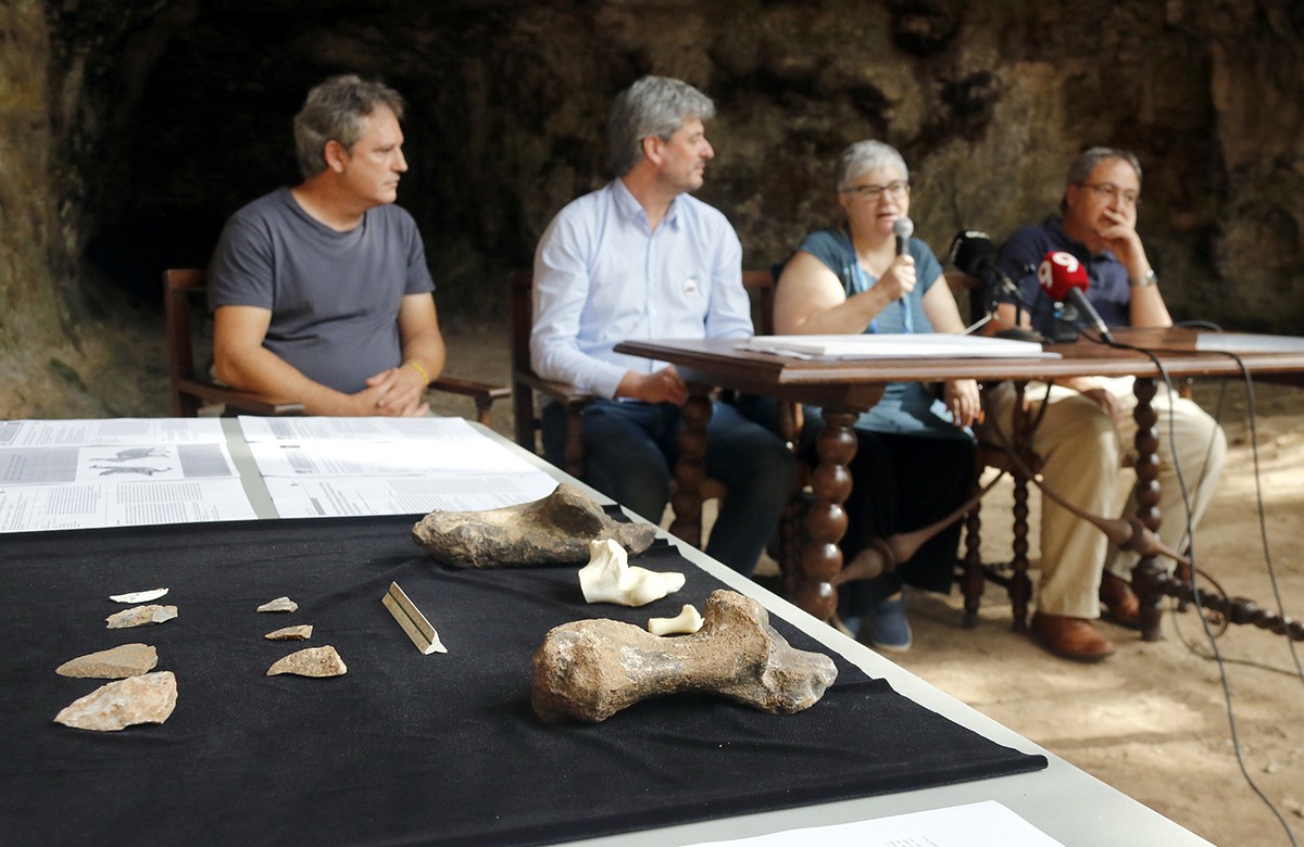 Detall de les restes de l'ur salvatge trobades a la cova de les Teixoneres de Moià