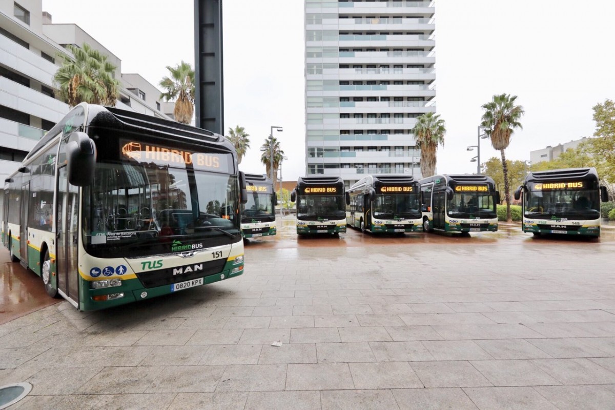 Alguns dels autobusos que actualment circulen per la ciutat 