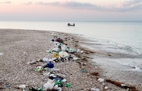 Vés a: La majoria de residus recollits a les platges del Delta de l'Ebre són plàstics