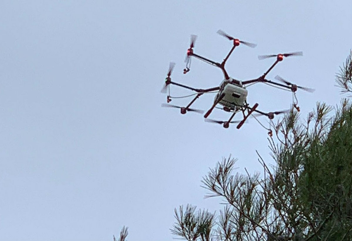 Un dron fent el tractament fitosanitari contra la processioària a Querol
