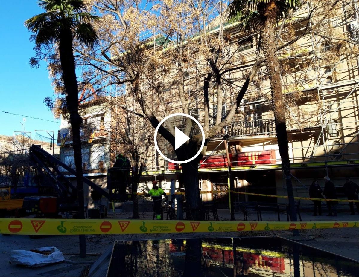 La briga d'obres podant els arbres de davant del Casino