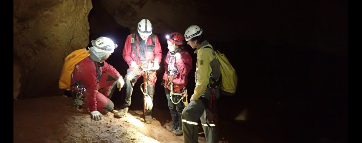 Un equip fa el seguiment d'una cova de ratpenats.