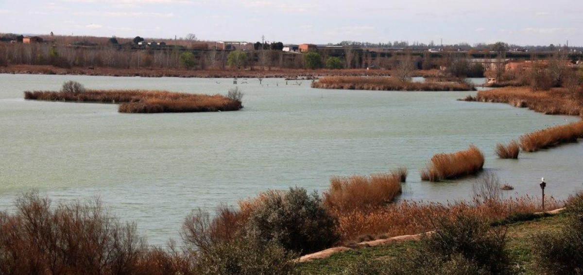 Imatge de l'estany de Vila-sana